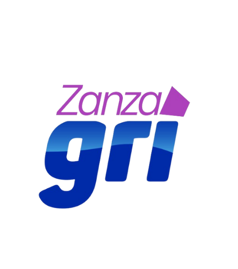 ZANZA GRI