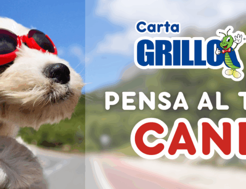 Carta Grillo pensa al tuo cane!